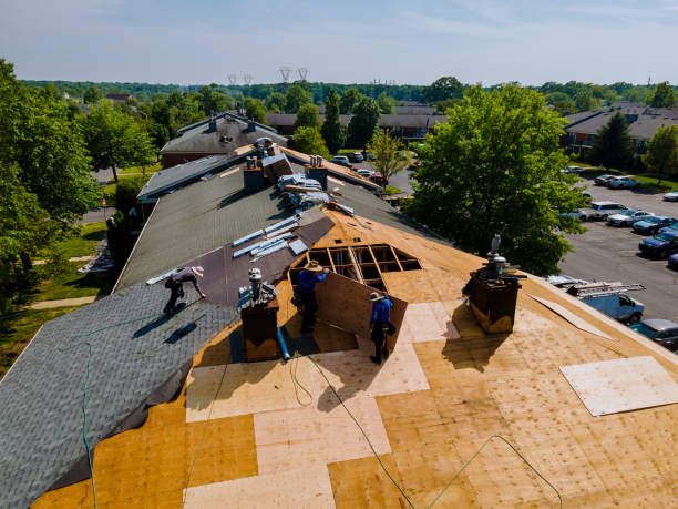 Best Storm Damage Roof Repair  in Beach, ND